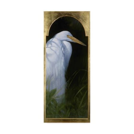 Trademark Fine Art Michael Jackson 'Gold Frame Egret' Canvas Art, 20x47 ALI43632-C2047GG